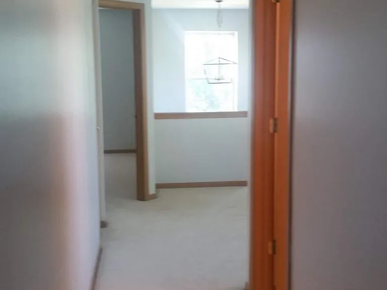 11S495 Rachael Ct — Photo 6