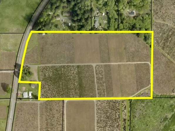 0 Cinebar Road, Cinebar, WA 98533