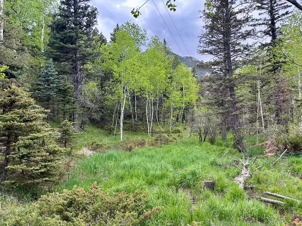 286 Coffee Pot Rd, Manitou Springs, CO 80829
