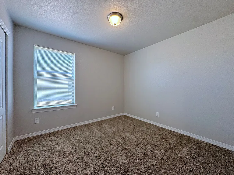 14361 Star Cactus — Photo 13