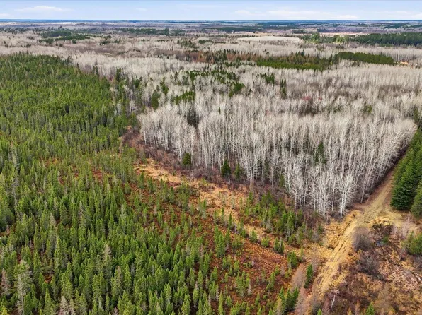 Town Rd #55, Big Falls, MN 56627