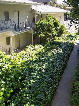 667-669 Levering — Photo 3