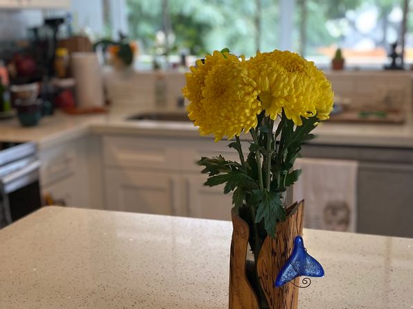 439 Keoniana St APT 201