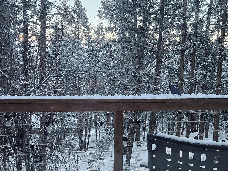 This is the view from the kitchen window, above stove!