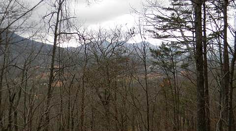 1st image of Bald Eagle Dr #20