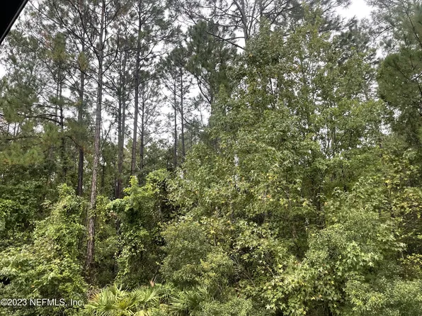 0000 NE 266TH Avenue, Old Town, FL 32628