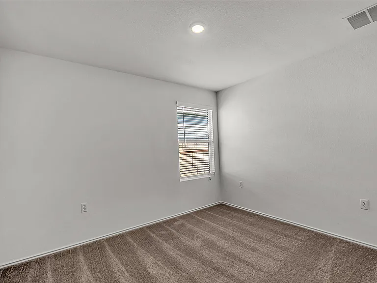 2528 Willkomen Way — Photo 17