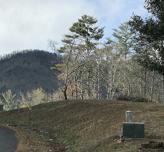 1st image of 38 Shelton Springs Dr