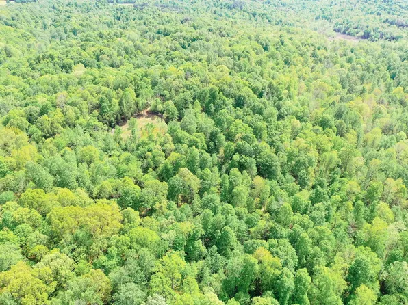 406 Lakewood Rd, Princeton, KY 42445