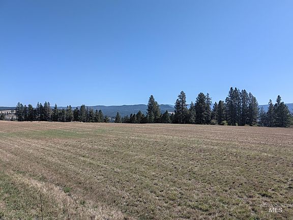 4th image of 1249 Battle Ridge Rd
