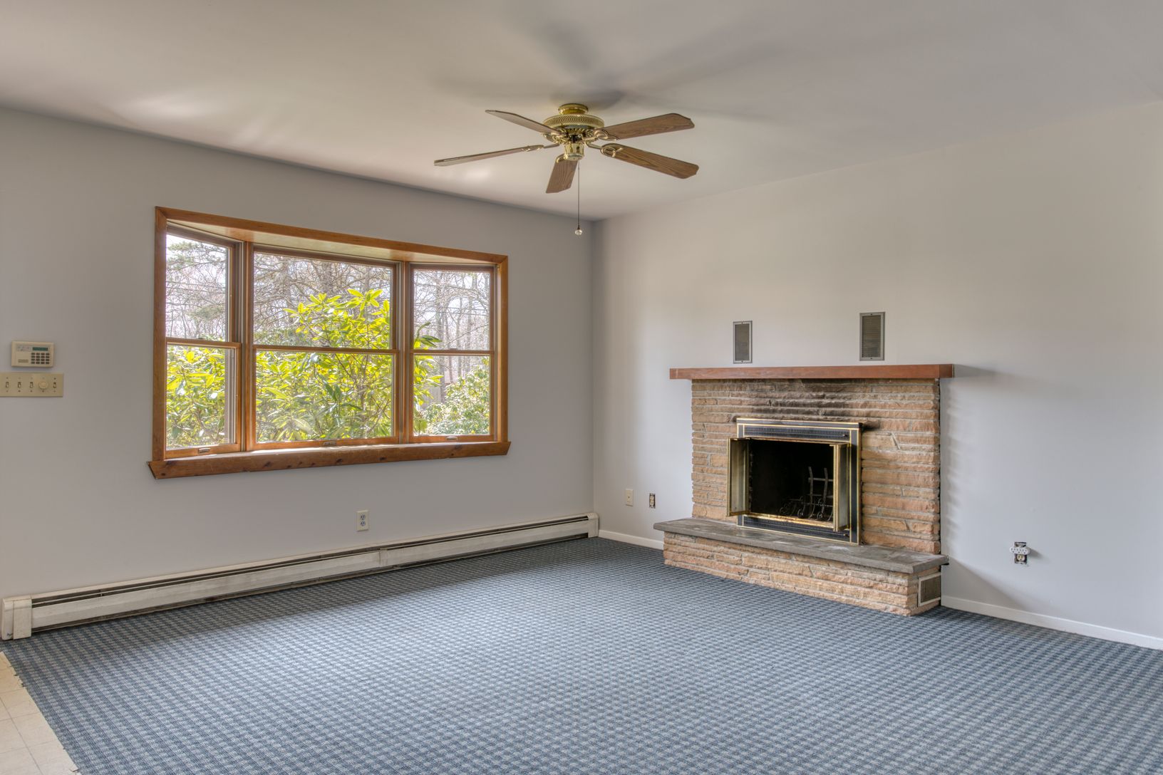 Wood Burning Fireplace