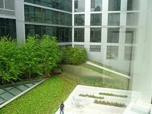 Rented by Douglas Elliman | media 35