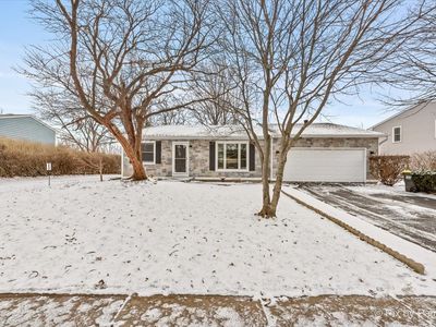 390 S Garden Ave, Roselle, IL, 60172