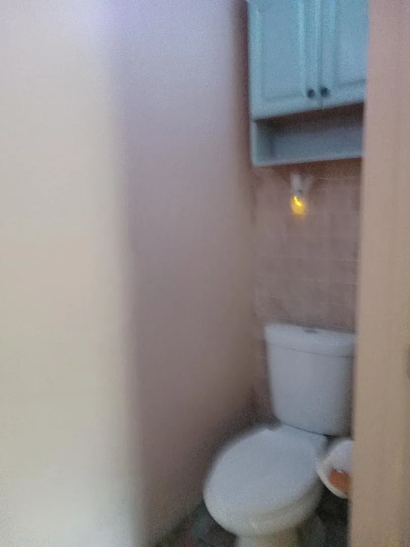 1 bed, 350 sqft, $900 — Photo 2