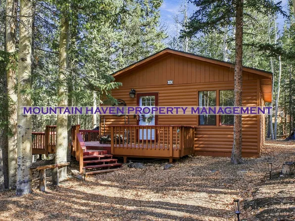 31 Aspen Loop Rd, Idaho Springs, CO 80452