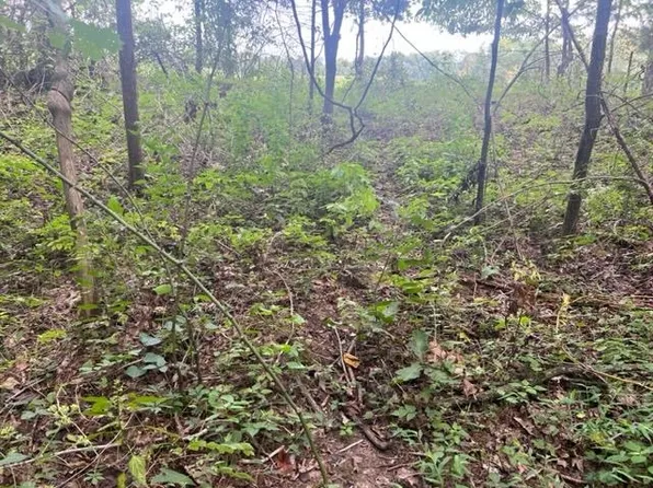 0 Nolin Dam Rd, Sweeden, KY 42285