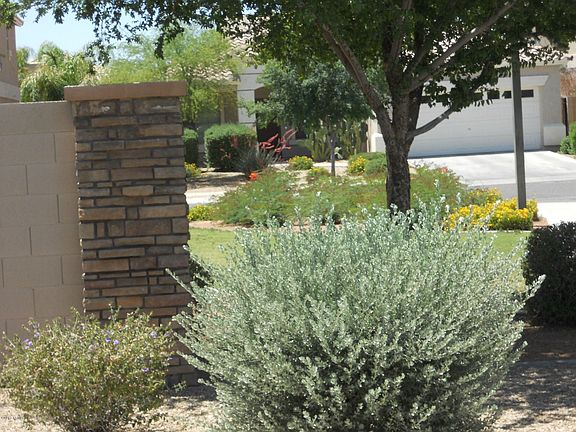 4th image of 14261 W Gelding Dr
