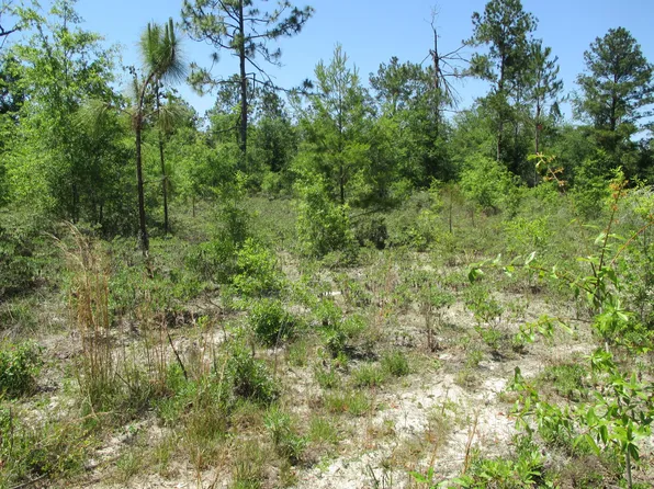 11219 Smith Rd, Fountain, FL 32438