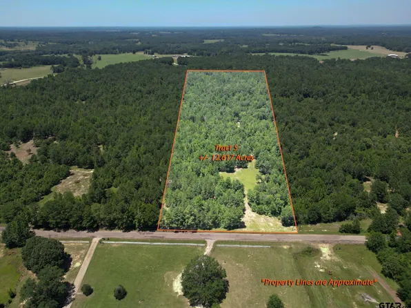 23400 County Road 244 Tract 5, Overton, TX 75684