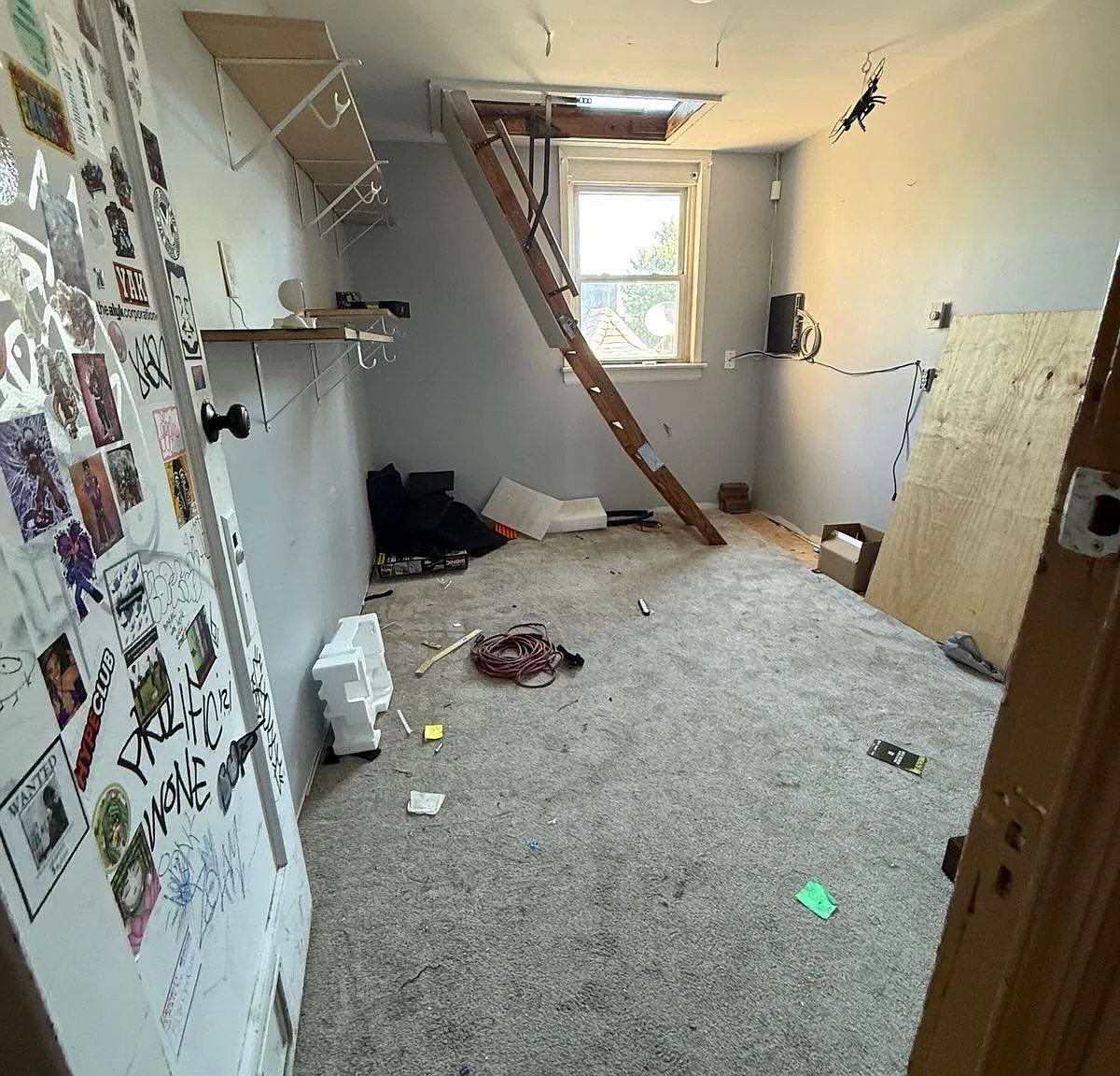 Studio, $6,000 — Photo 1