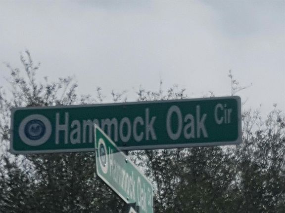 5th image of 309 Hammock Oak Cir