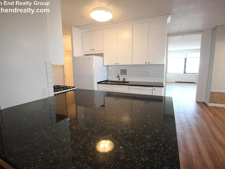 65 E India Row #35C — Photo 11