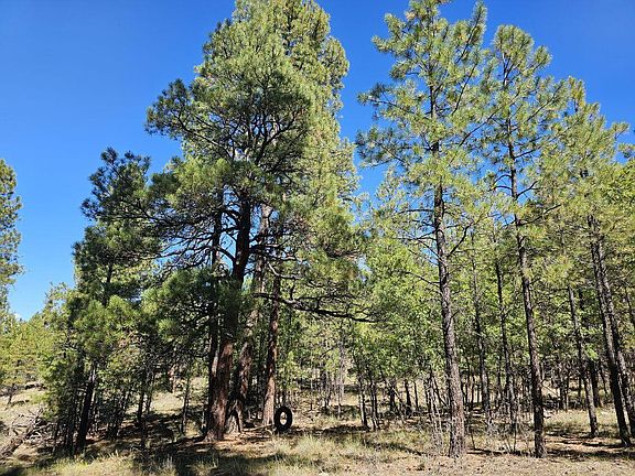 5th image of 2563 Pine Valley Rd