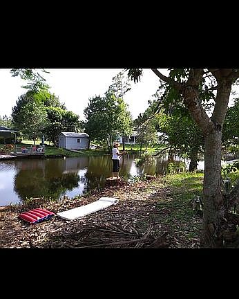 Backyard