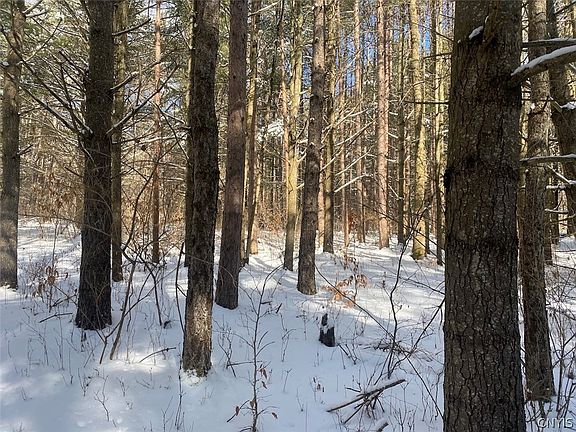 5th image of W Hill Rd