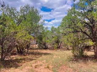 3491 EVERGREEN Drive #322, Overgaard, AZ 85933