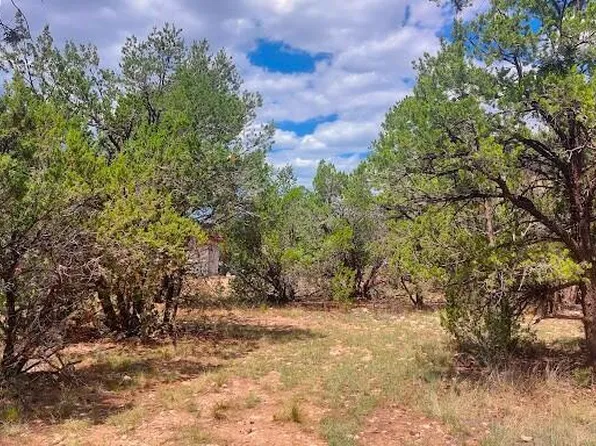 3491 EVERGREEN Drive #322, Overgaard, AZ 85933