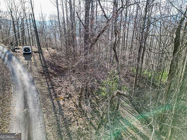 1st image of 0 Chestnut Mountain Dr