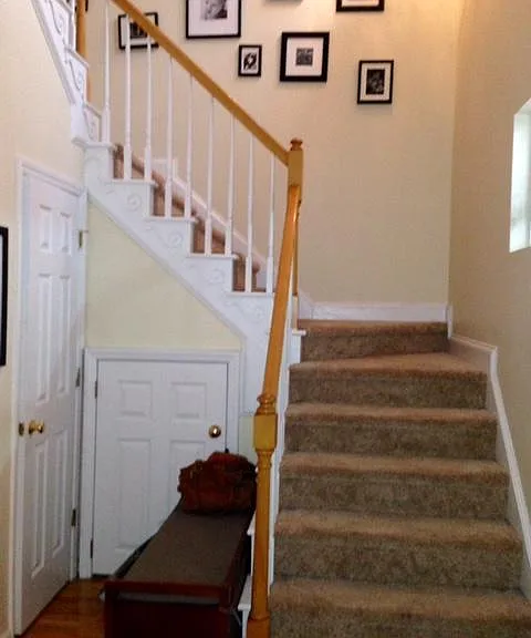 1020 Purple Glory Dr — Photo 7