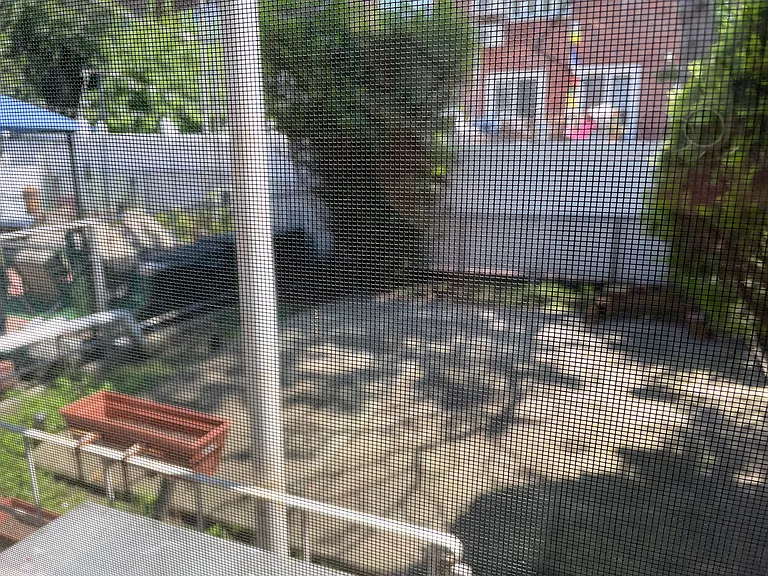 71st St — Photo 15
