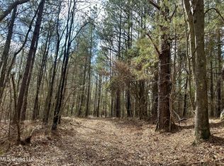 242 Dan George Rd, Mendenhall, MS 39114