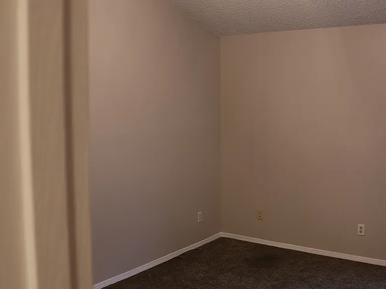 Master Bedroom - Vaulted Ceiling