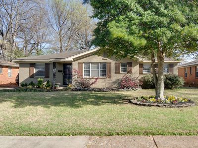 5136 Woodlark Ave, Memphis, TN, 38117