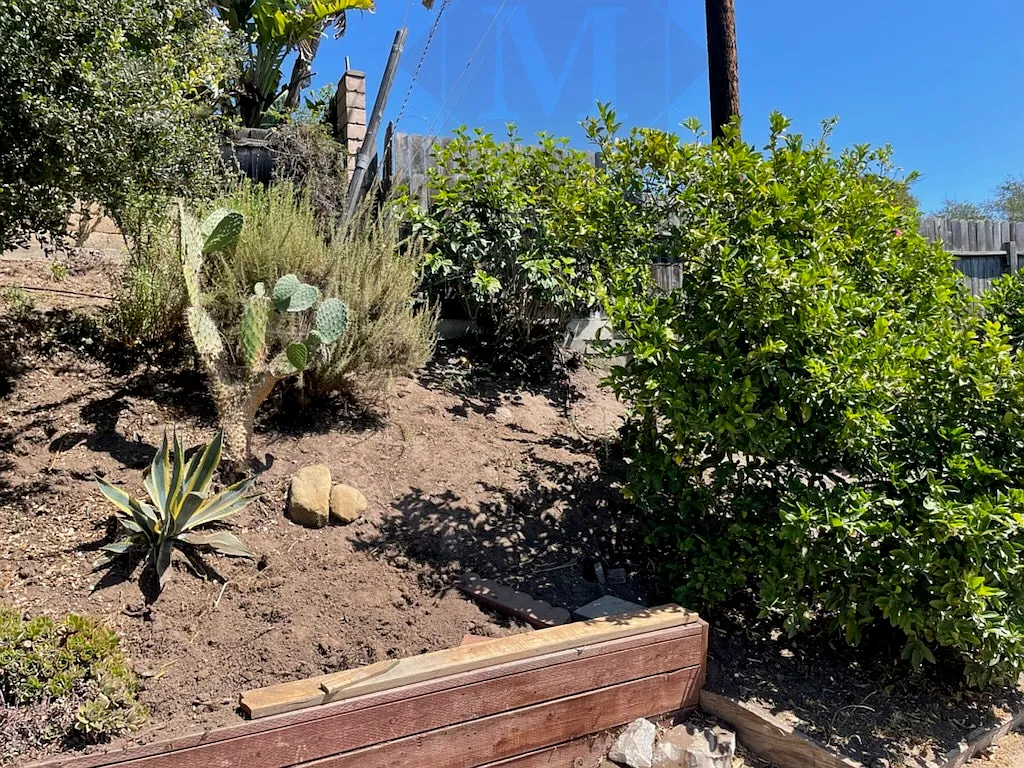 3 bed, 1846 sqft, $6,000 — Photo 4