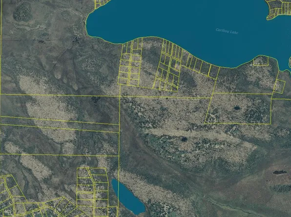 L2 Moosehorn Rd, Homer, AK 99603