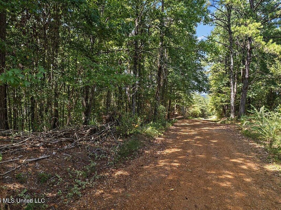 1st image of County Road 177