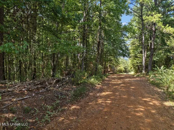 County Road 177, Carthage, MS 39051