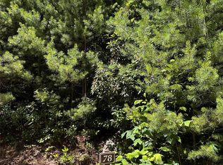 66 Boone Cove Rd, Zirconia, NC 28790