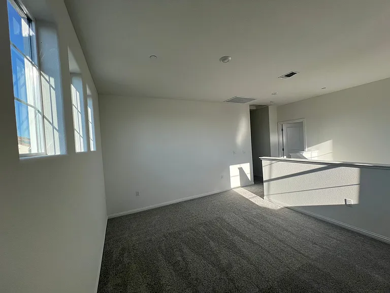 3137 Barnowl Way — Photo 33