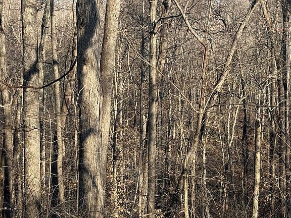 4th image of 41 Reynolds Rd