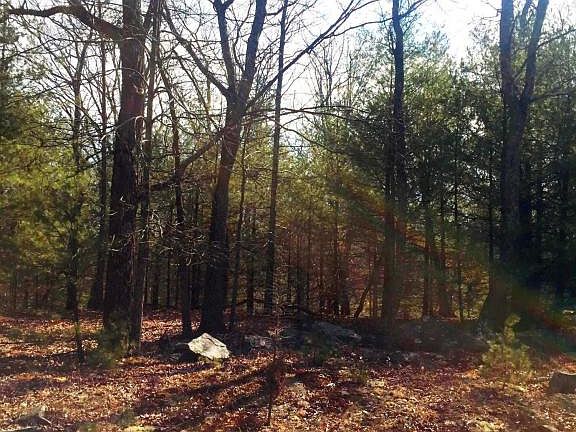 3rd image of 113 Pocono Circle Dr E