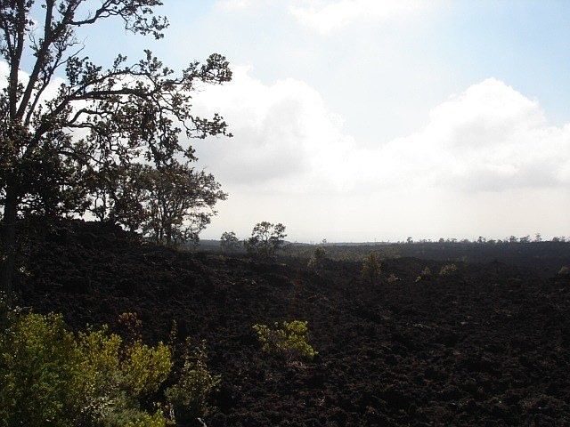 1st image of Aloha Blvd Lot 31