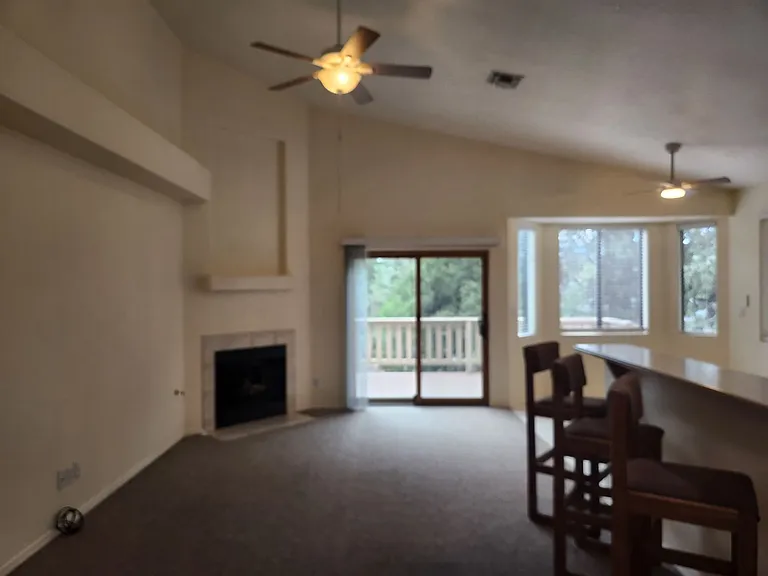 310 N Stagecoach Pass — Photo 8