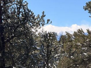 000 41st Trail, Cotopaxi, CO 81223