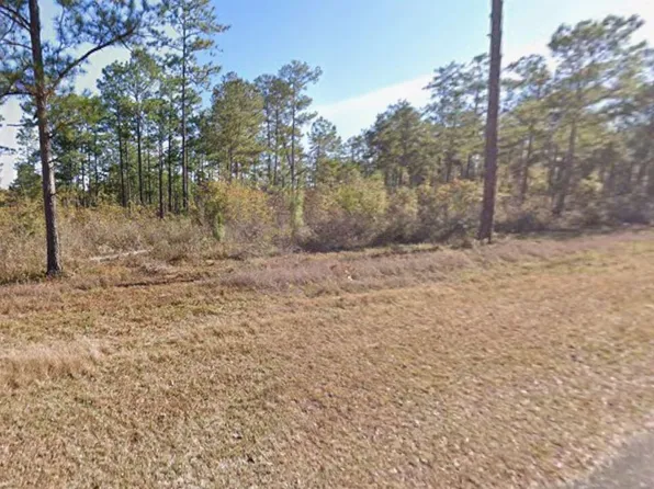 0 Corps Airport Rd, Bainbridge, GA 39819