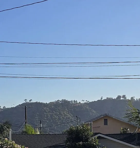 919 Isabel St — Photo 32